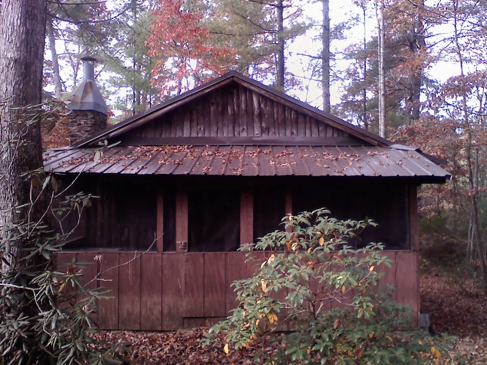 Metal roof over the screened porch of a rustic cabin in Landisville